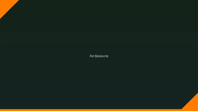 萌宠时刻主题赛 - manbetx万博娱乐 UGC视频竞赛